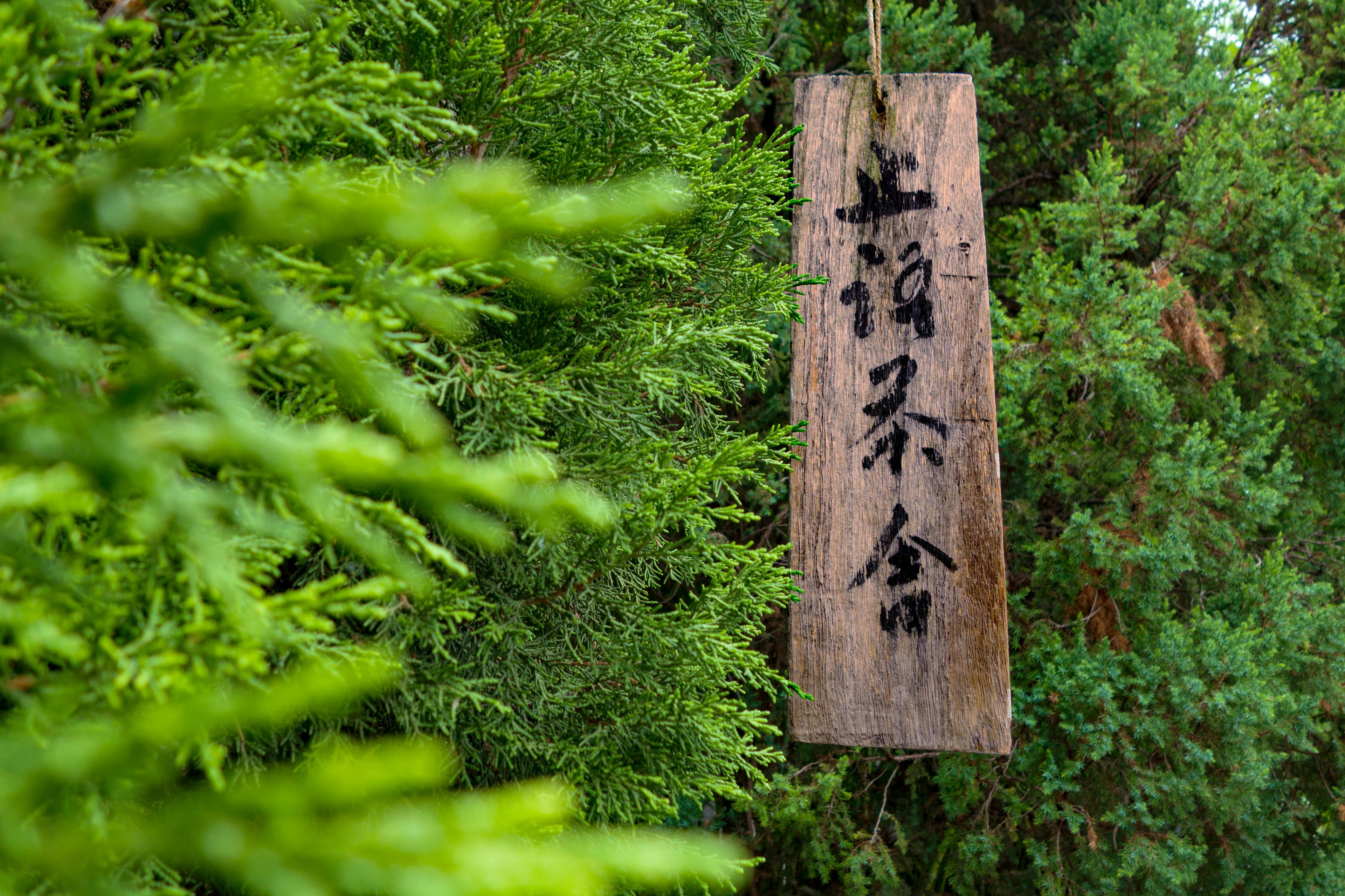 slider image 1621243260e1af0c20-0